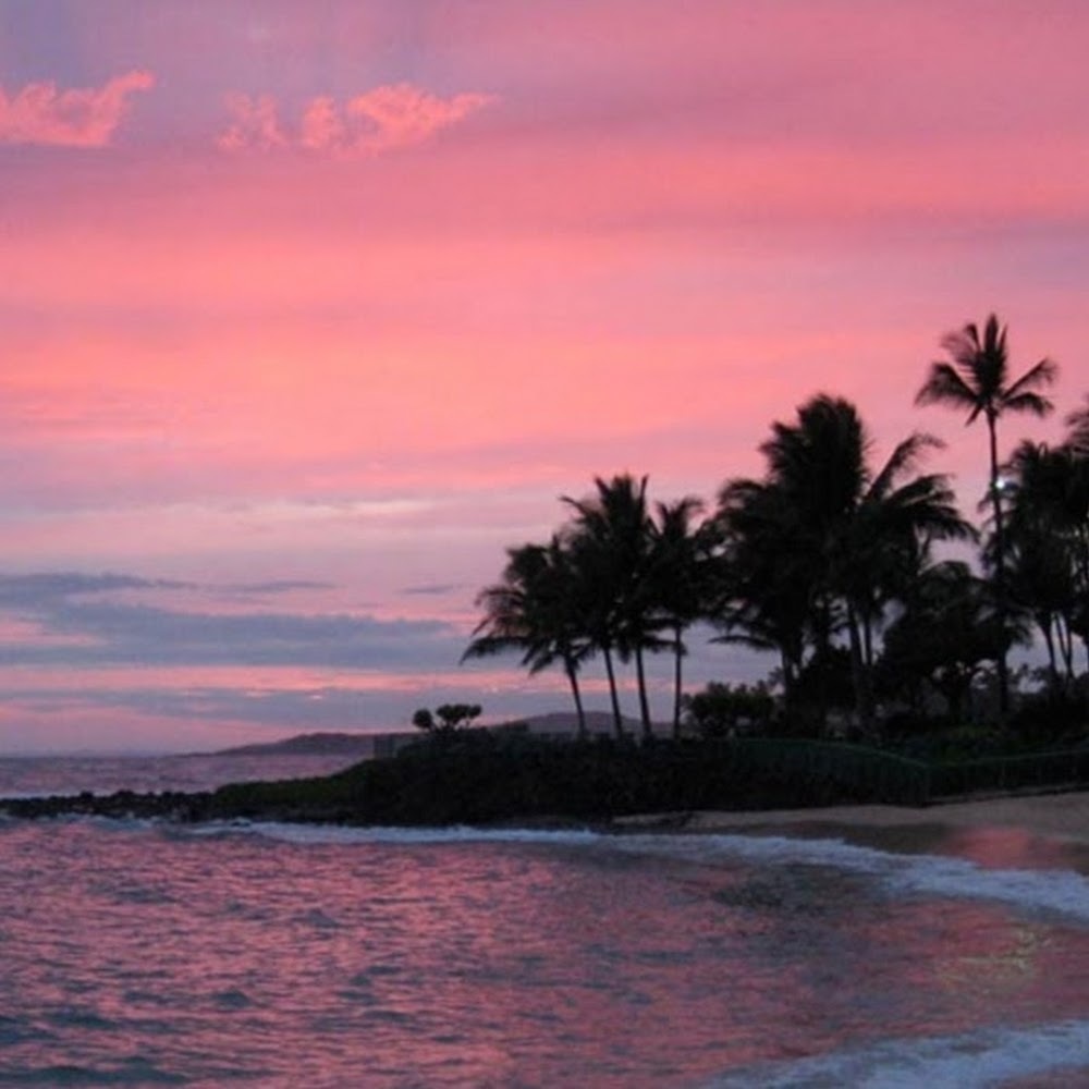 Meet your Posher, Chloe